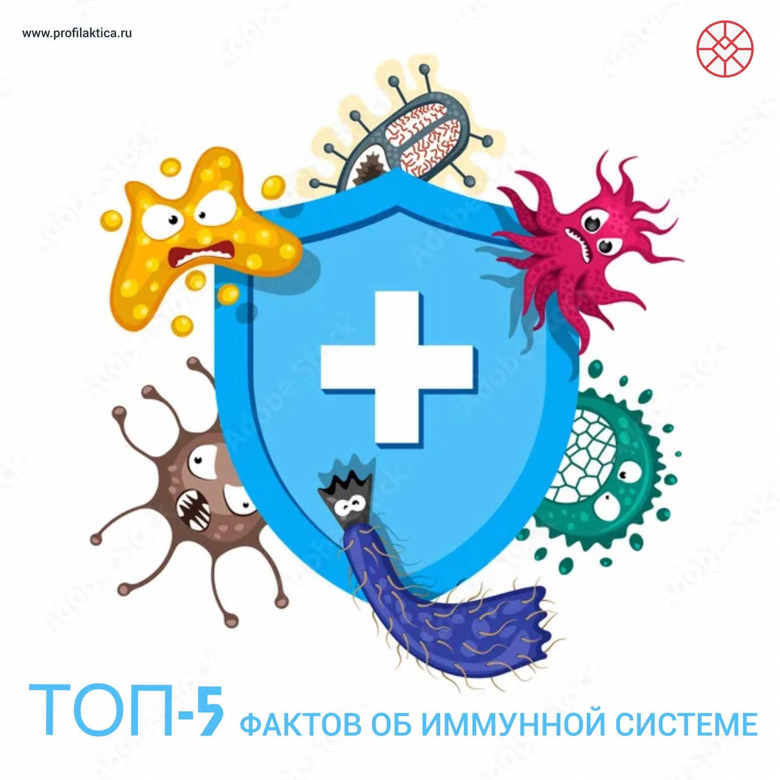Сообщение